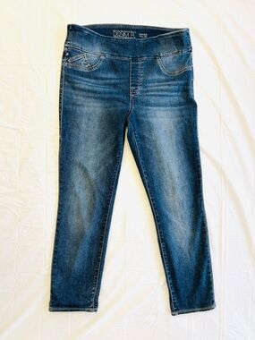 Rock & Republic Denim Rx The Slimming Cure Jeans